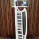 Roland AX-Synth Keytar 1