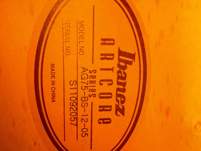 Ibanez AG75 3