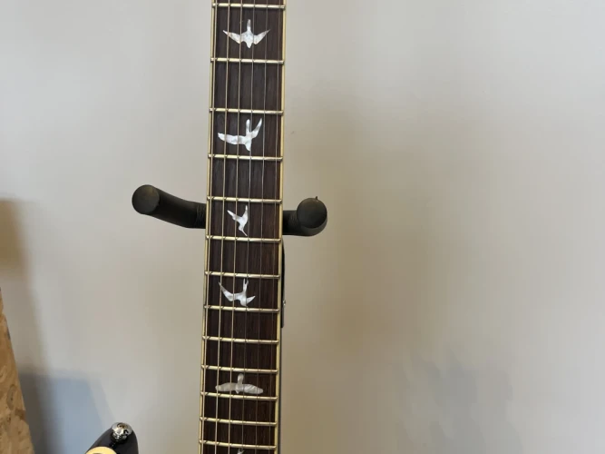 PRS SE Standart 24 Elektro Gitar 4