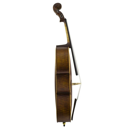 Carlovy CLA6-3/4 Çello 3/4 2