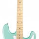 Jay Turser JT-300M-SFG Elektro Gitar 1