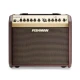 Fishman Loudbox Mini Bluetooth Akustik Amfi 1