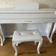 Arsenberg adp1955w 3