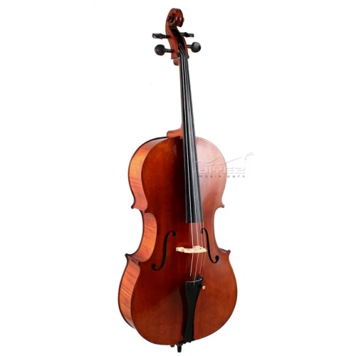 Le Mans Masif 2/4 Çello 4