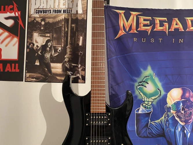 2005 Kore Modlu Washburn X30 1