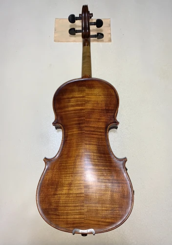 profesyonel keman Stentor Verona 2