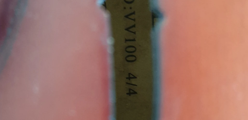 Presto luthier VV100 4 /4 Keman 4