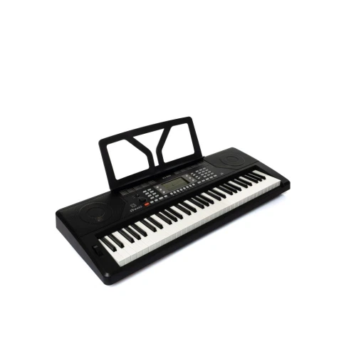 Strauss KS-300 61 Tuşlu Org 3