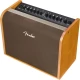 Fender Acoustic 100 UK Akustik Gitar Amfisi 4