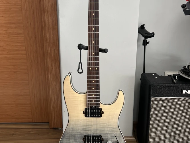 Eart EYP-ELITE Elektro Gitar 1