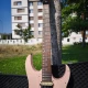 Ibanez Prestige RG 5