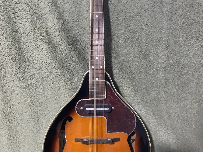 Elektro Mandolin 2