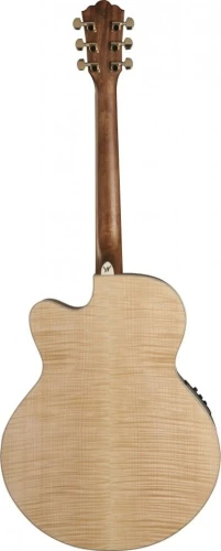Washburn HJ40SCE Heritage 40 Seris Jumbo Kasai Elektro Akustik Gitar 2