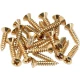 Fender Pickguard/Control Plate Mounting Screws 24 Gold Gitar Yedek Parça 2