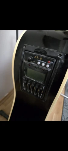 Bolero Elektro Akustik Gitar 2