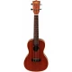 Kala Satin Maun Concert Ukulele 2