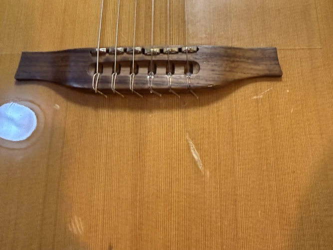 godin multiac grand concert sa 2