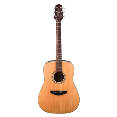 Takamine GD20-NS Akustik Gitar 2