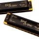 Fender Blues DeVille NotaE Mızıka 4