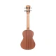 Fenix PS-S100-23A Concert Ukulele (Natural) 3