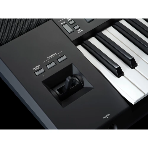 Yamaha PSR-SX920 Arranger Workstation Klavye 6