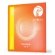 Pitbull Strings Gold Series GCG NT Takım Tel Klasik Gitar Teli 1