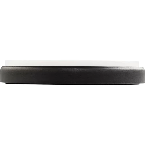 Meinl MPP-6-TL Thomas Lang 6" Çalışma Pedi 5