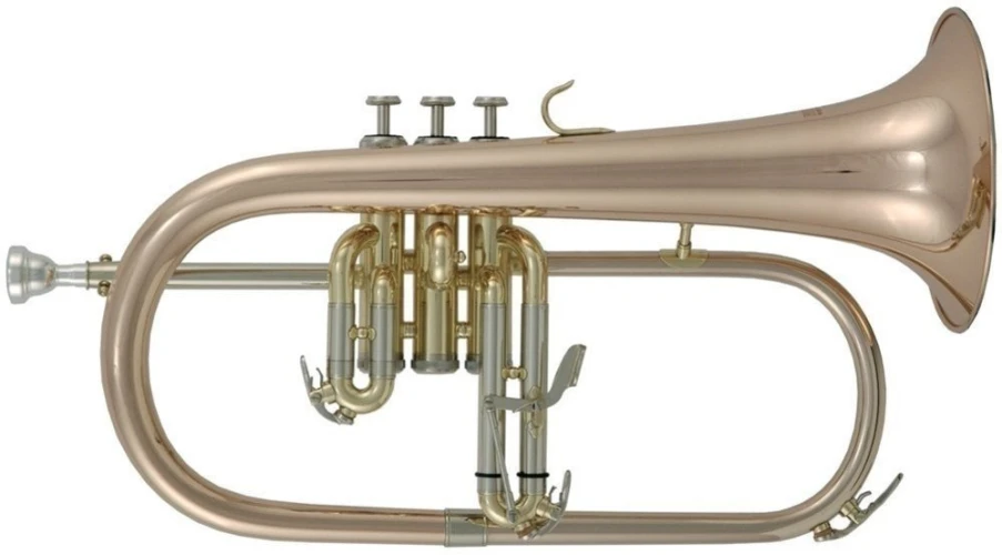Roy Benson FH-302G Flugelhorn 1