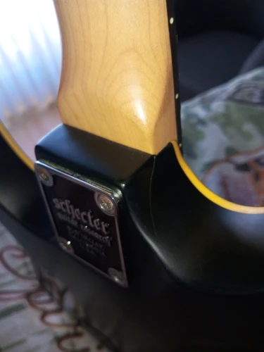 Schecter Demon-6 Sabit Köprülü 4