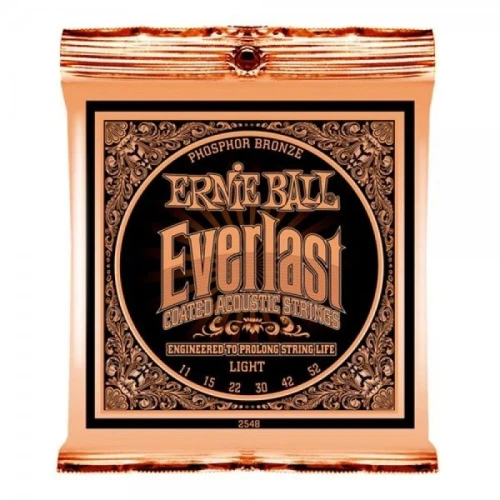 Ernie Ball P02548 Everlast Akustik Gitar Teli (Light) 1