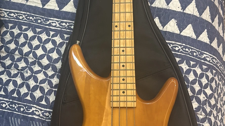 Ashton AB-800 aktif manyetikli bass gitar sıfr etiketli 6