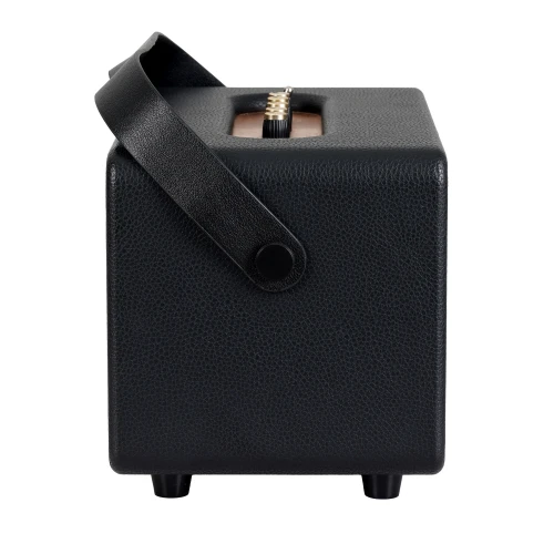 Carlsbro EW CK30-DM Bluetooth Hoparlör (Siyah - 2 Kablosuz Mikrofonlu) 5