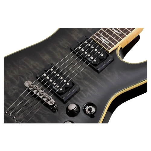 Schecter Omen Extreme 6 Elektro Gitar (See-Thru Black) 2