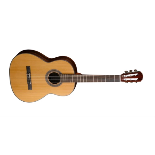 CORT AC15NAT 1