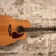 Seagull Entourage CW QI Elektro Akustik Gitar (Natural Spruce) 7