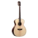 Washburn Comfort Serisi WCG10SENS Mat Akustik Gitar 1