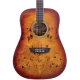 Washburn Deep Forest Burl Amber Fade Akustik Gitar 1