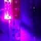 Atomic Amplifire 3 + Midi Controller 2