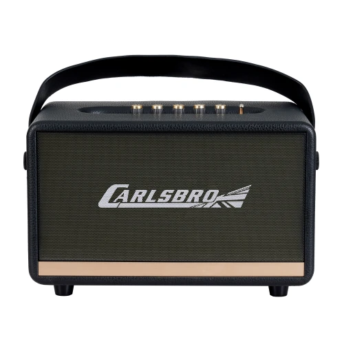 Carlsbro EW CK30-DM Bluetooth Hoparlör (Siyah - 2 Kablosuz Mikrofonlu) 2