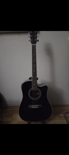 Bolero Elektro Akustik Gitar 1