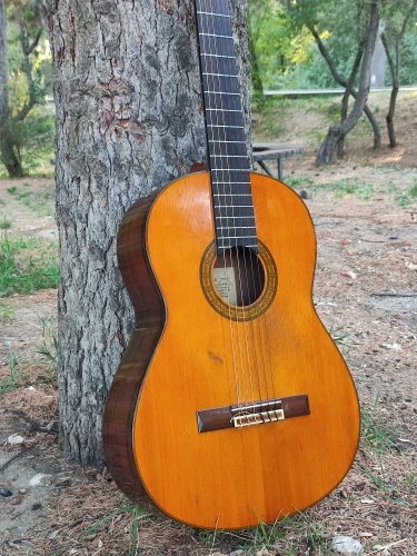 Yamaha G235ii Klasik Gitar 1