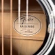 Fender fa 125 Akustik Gitar 3