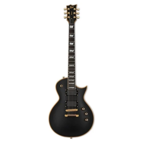 ESP LTD EC-1000 Vintage Black Elektro Gitar 1