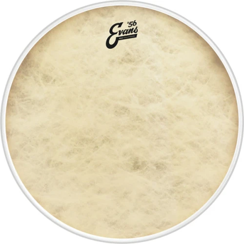 EVANS BD20GB4CT 20" DERİ CALFTONE KİCK VE RESONANT SENTETİK RİNGLİ TEK KAT 3