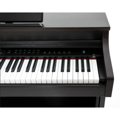 Capella CP350 Rosewood Dijital Piyano 3