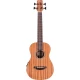 Cordoba Mini II Bass MH-E Travel Akustik Bas Gitar (Natural) 1