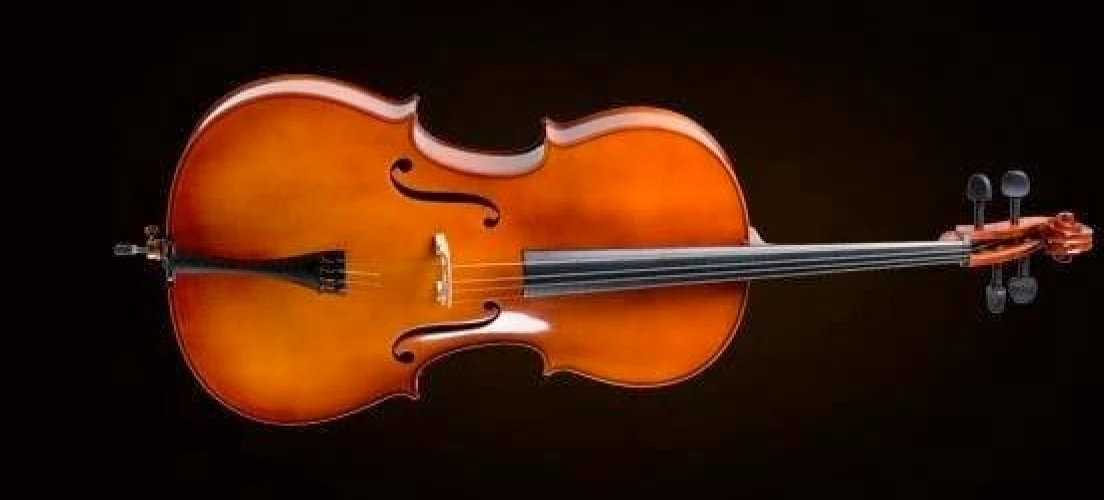 VALENCIA CE400G44 CELLO, GERMAN STYLE, 4/4 2