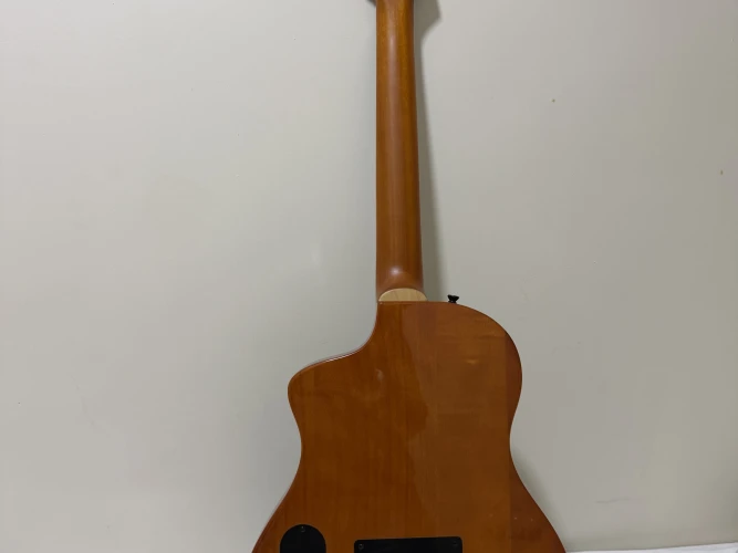 Ortega RTPG LS1 2