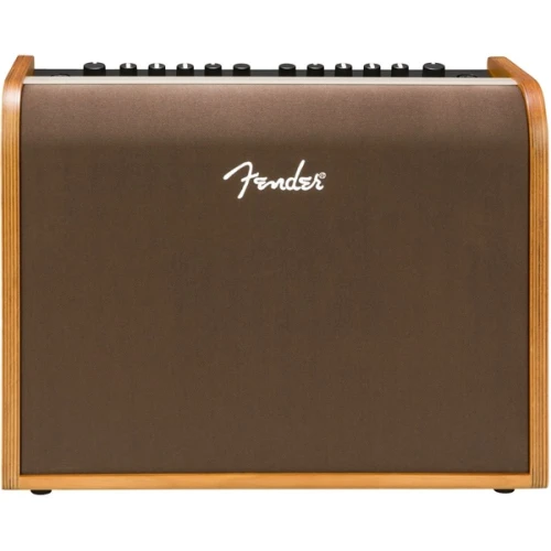 Fender Acoustic 100 UK Akustik Gitar Amfisi 1