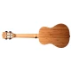Aklot AKBC-23 Concert Ukulele Gig Bag Hediyeli 4